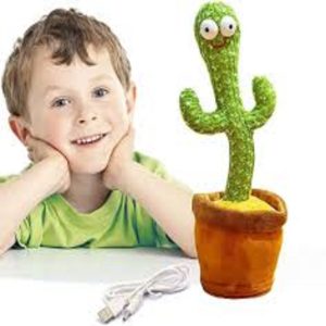cactus toys