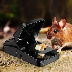 mouse killer trap