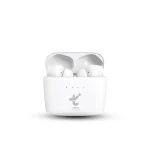 Earbuds